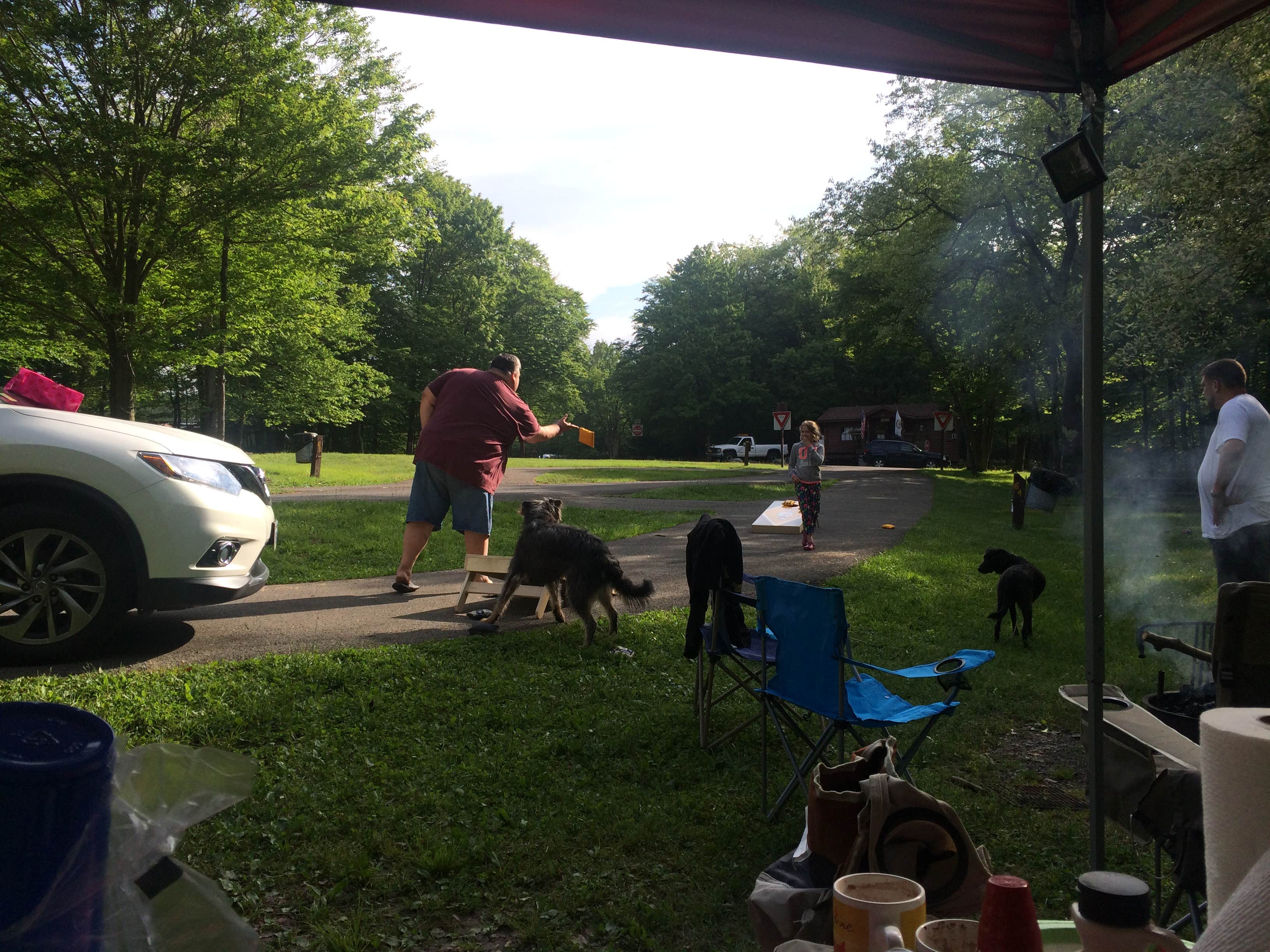 Diane D.'s photo of camping with pets at Blackwater Falls State Park Campground near Volga, WV