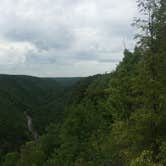 Review photo of Blackwater Falls State Park Campground by Diane D., May 23, 2018