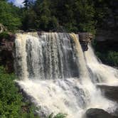 Review photo of Blackwater Falls State Park Campground by Diane D., May 23, 2018