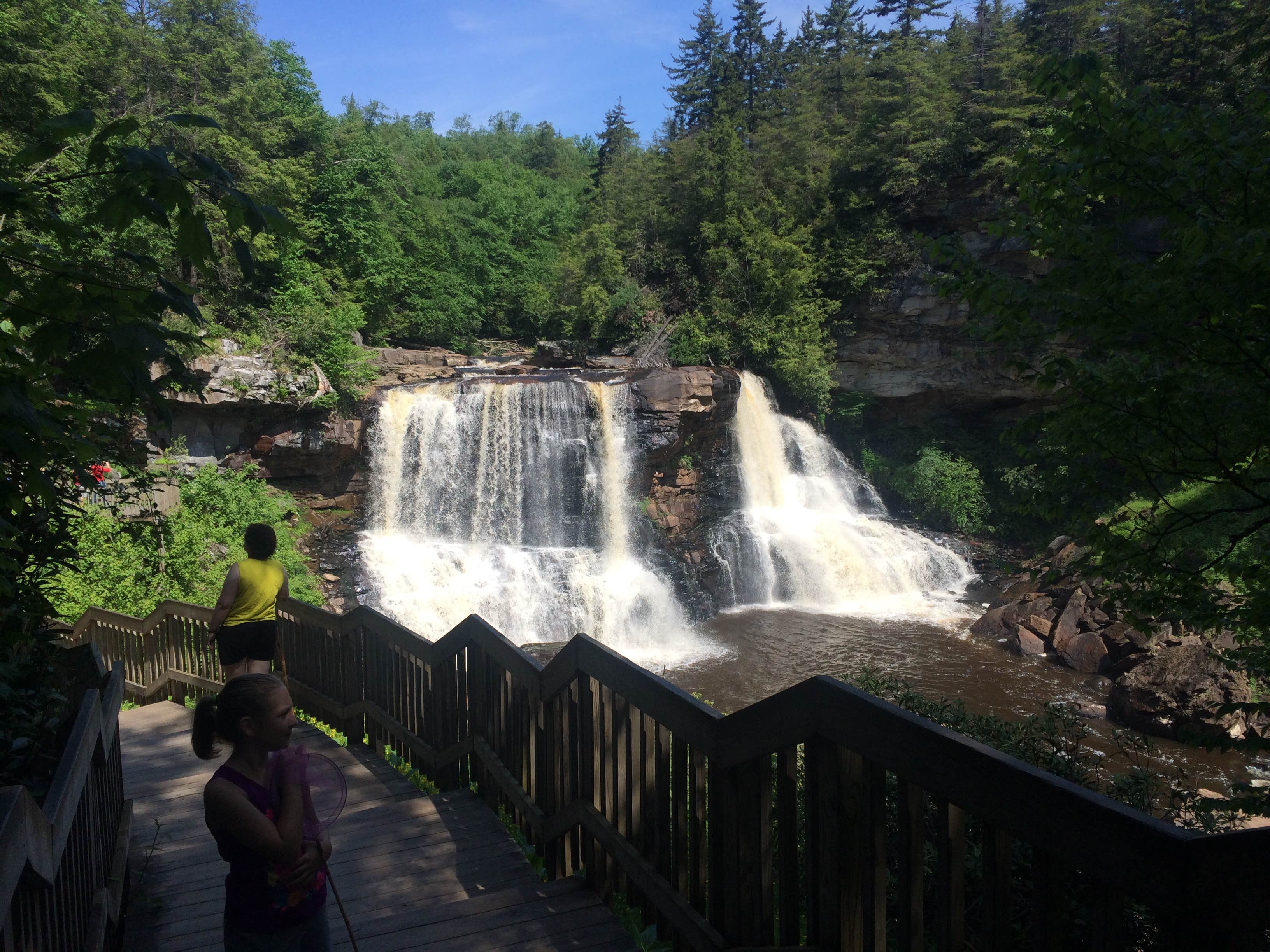 Camper submitted image from Blackwater Falls State Park Campground - 2