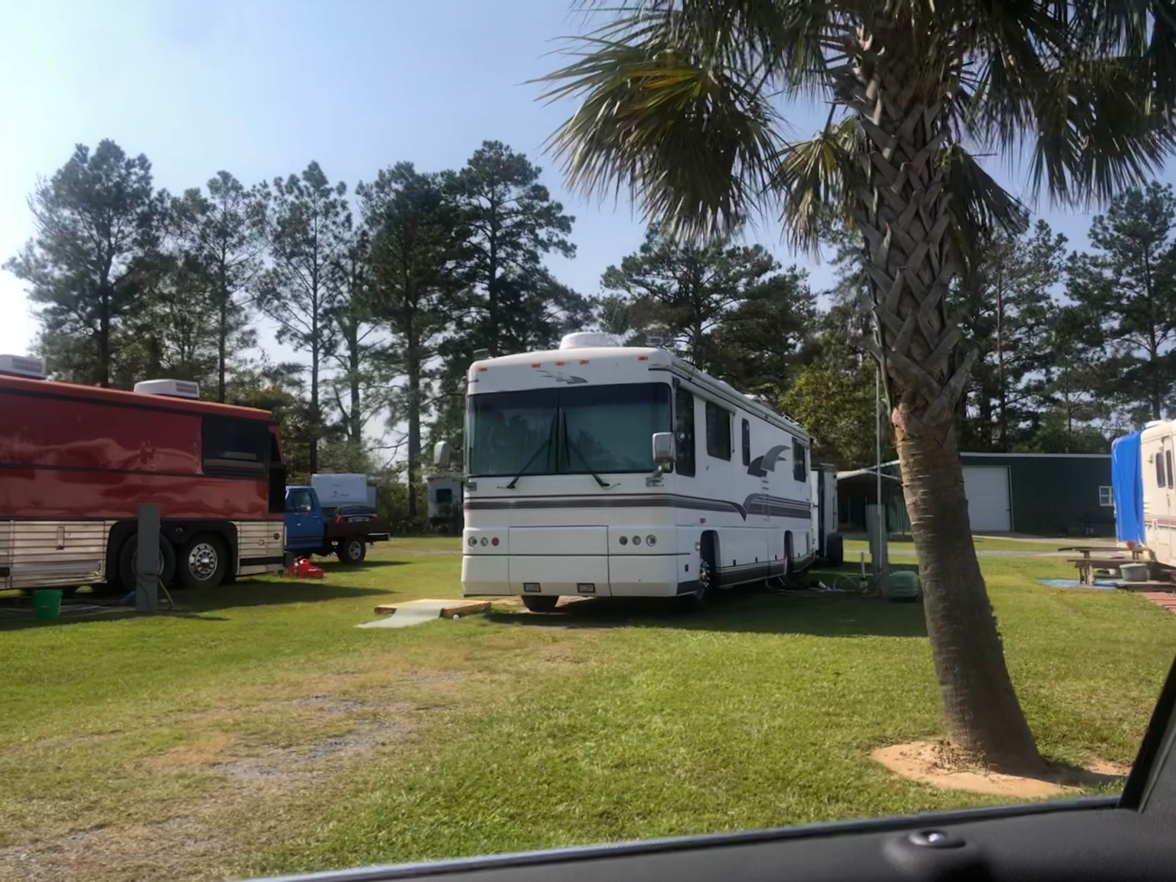 Camper-submitted photo at Pecan Acres RV Park near Gorum, LA