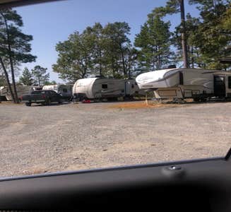 Camper-submitted photo from Toledo Bend Marina