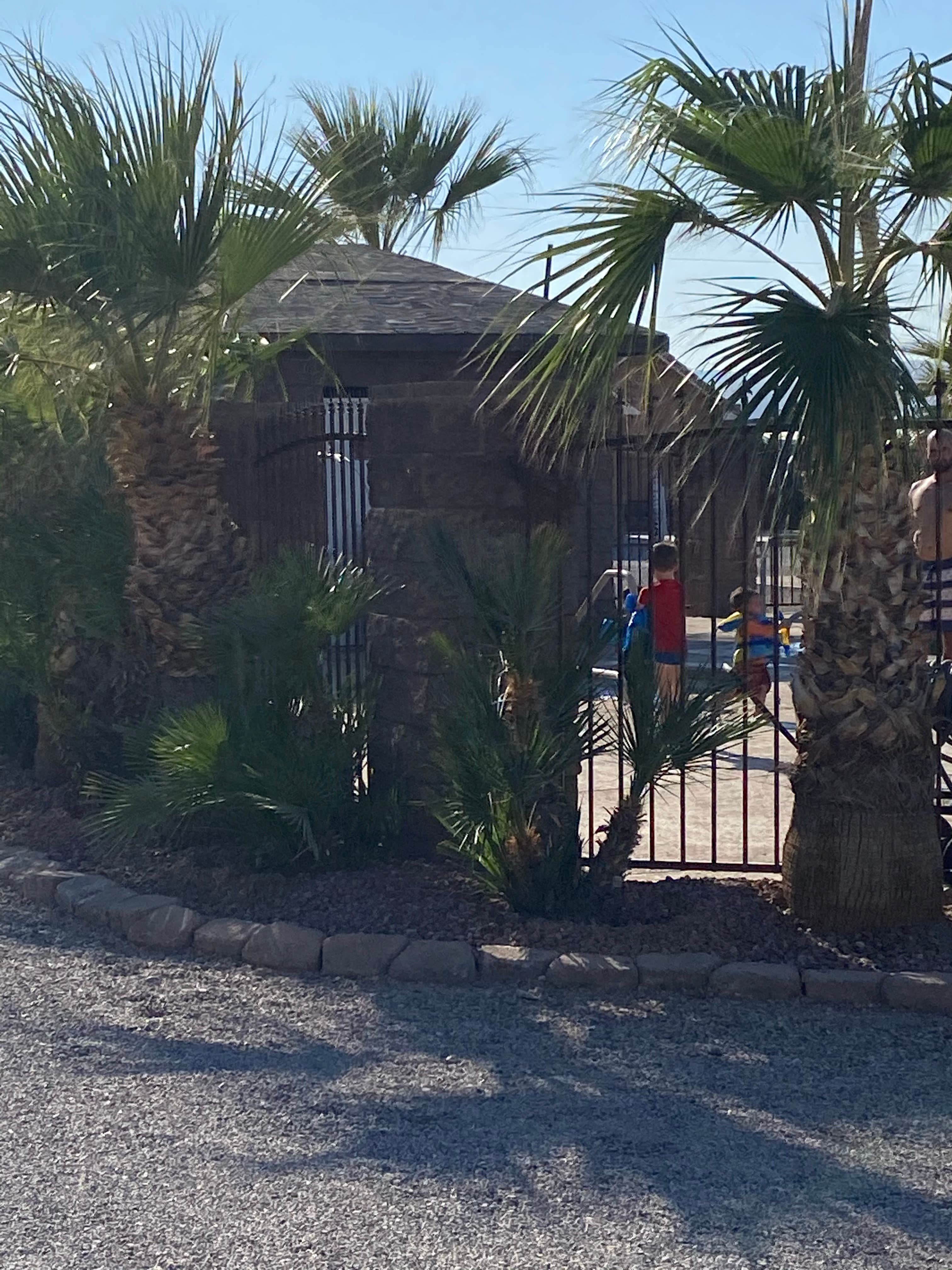 Camper-submitted photo at Colorado River Oasis RV Park near Oatman, AZ