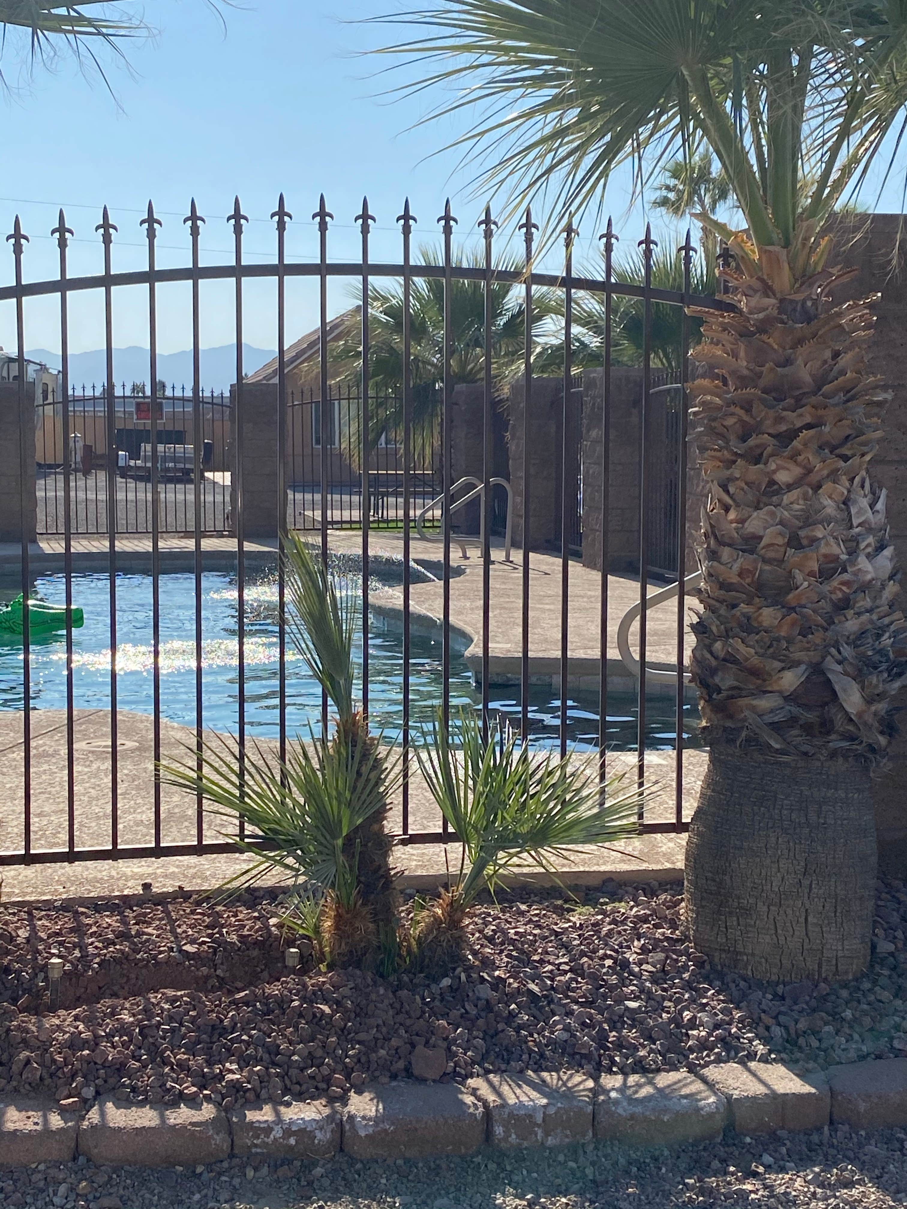 Camper-submitted photo at Colorado River Oasis RV Park near Oatman, AZ