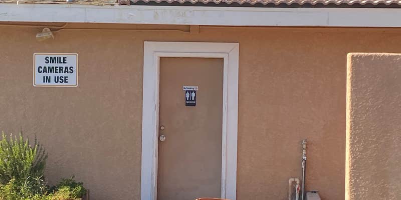 Camper submitted image from Colorado River Oasis RV Park