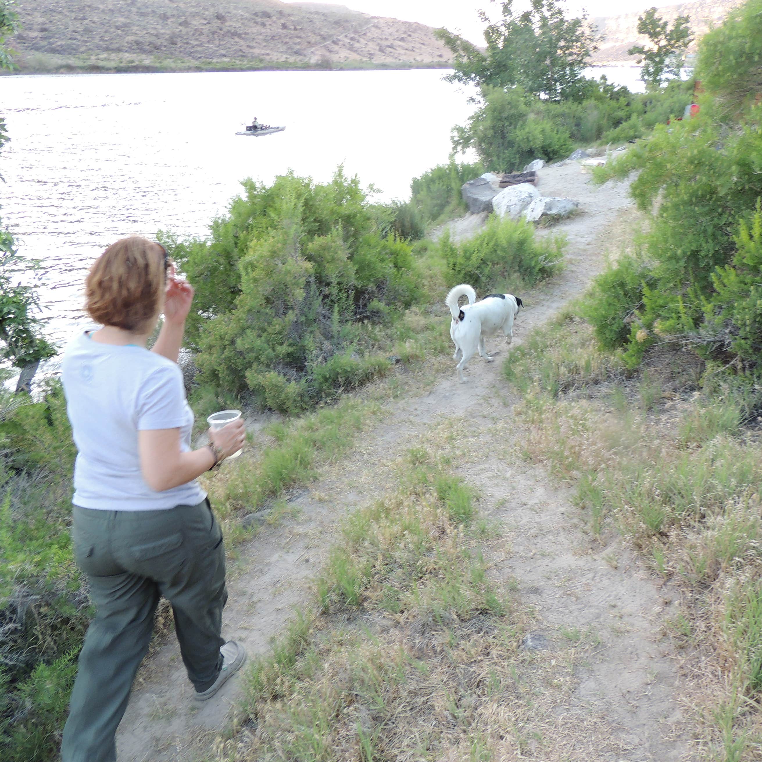 Swan Falls Idaho Power Camping The Dyrt