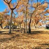 Review photo of Green River State Park Campground — Green River State Park by The Free Birds RV R., November 1, 2020