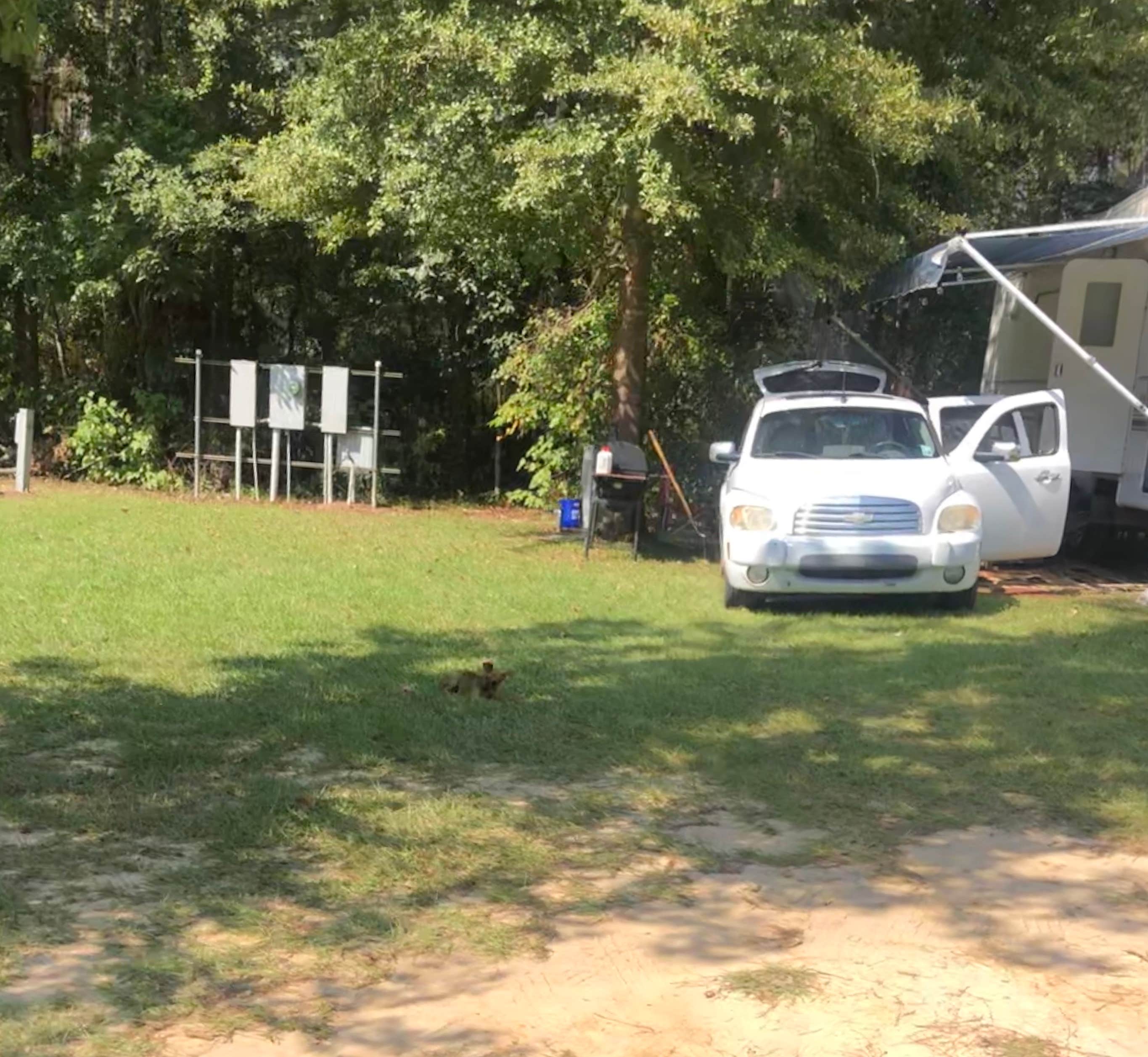 Lori H.'s photo of camping with pets at JD's RV Park in Louisiana