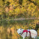 Review photo of Two Rivers Backcountry Camping — Ozark National Scenic Riverway by Jade G., November 1, 2020