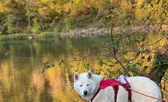 Jade G.'s photo of camping with pets at Two Rivers Backcountry Camping — Ozark National Scenic Riverway near Ellington, MO