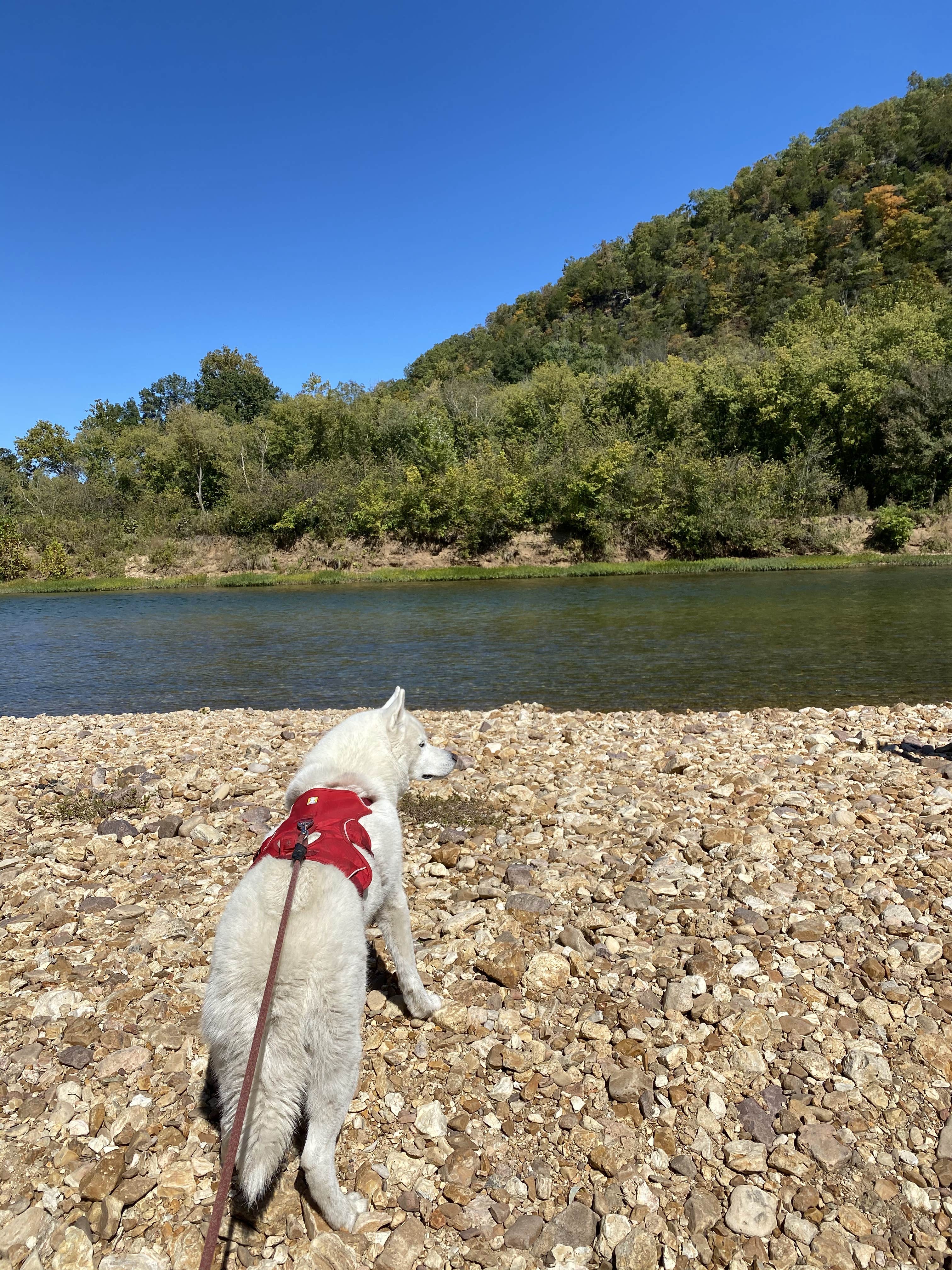 Camper submitted image from Two Rivers Backcountry Camping — Ozark National Scenic Riverway - 5