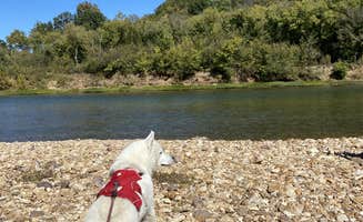 Jade G.'s photo of camping with pets at Two Rivers Backcountry Camping — Ozark National Scenic Riverway near Van Buren, MO