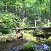 Review photo of Elkmont Campground — Great Smoky Mountains National Park by Alicia B., July 10, 2016
