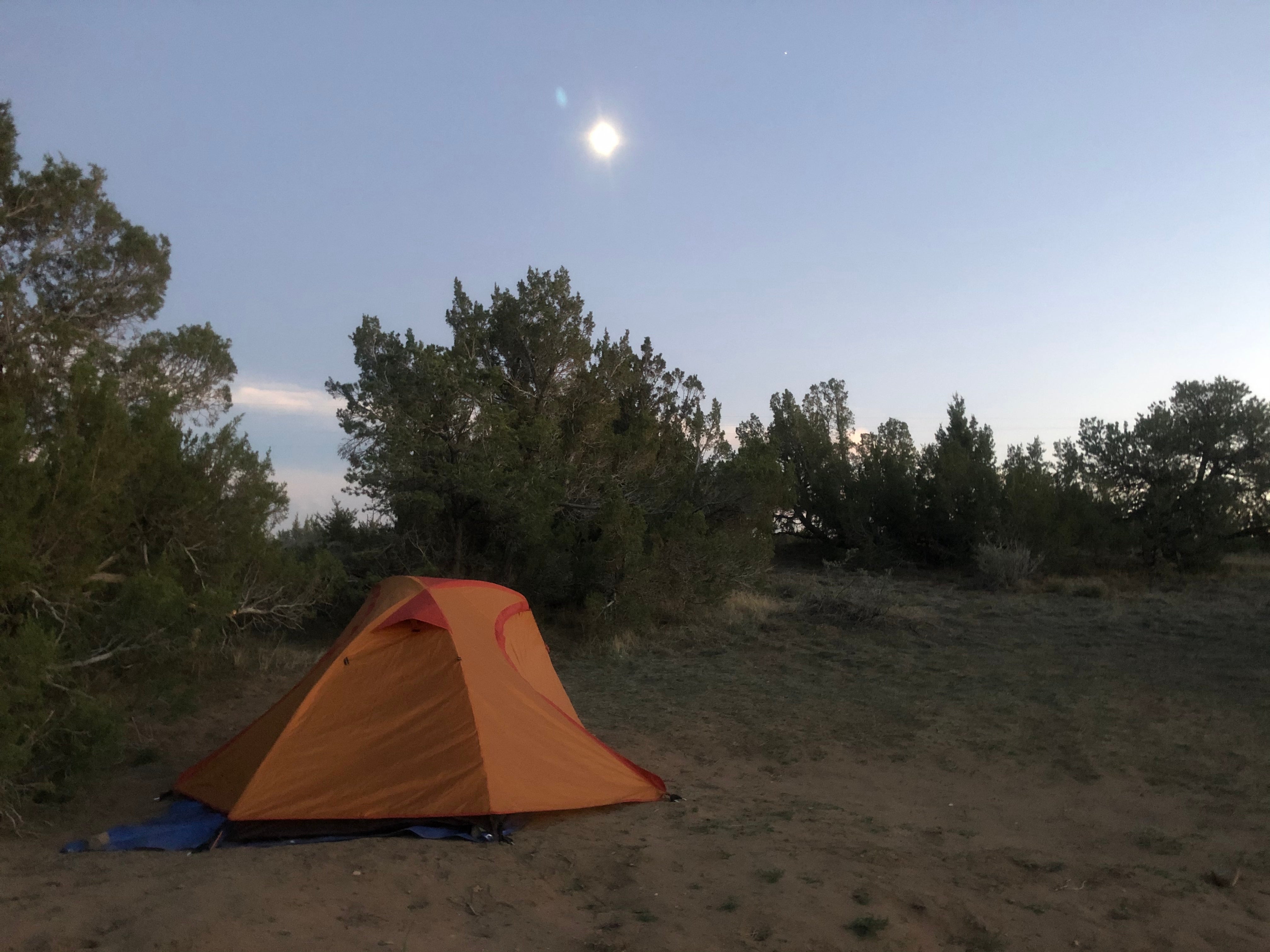 Camper submitted image from Yucca Campground — Lathrop State Park - 3