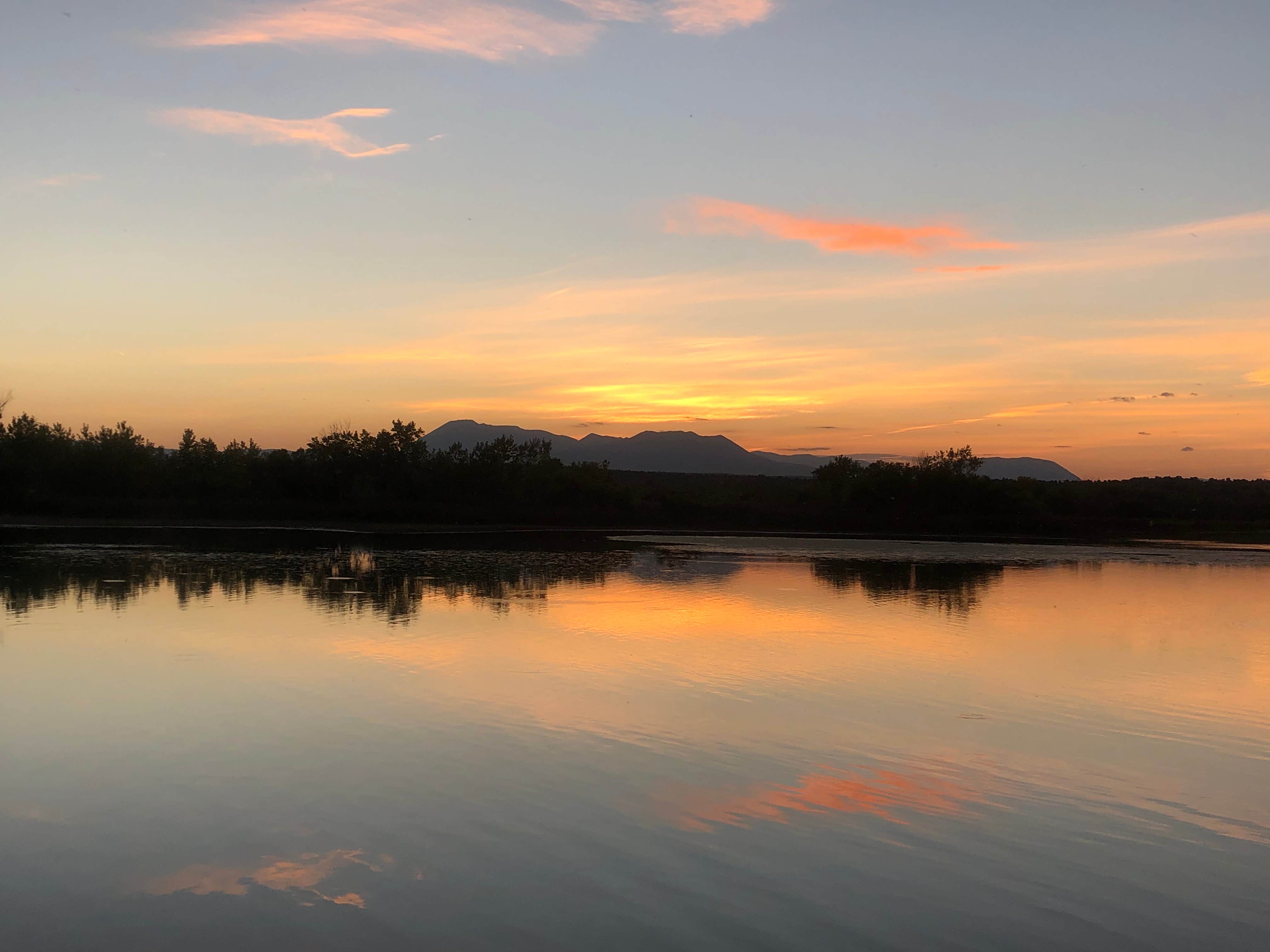 Camper submitted image from Yucca Campground — Lathrop State Park - 5