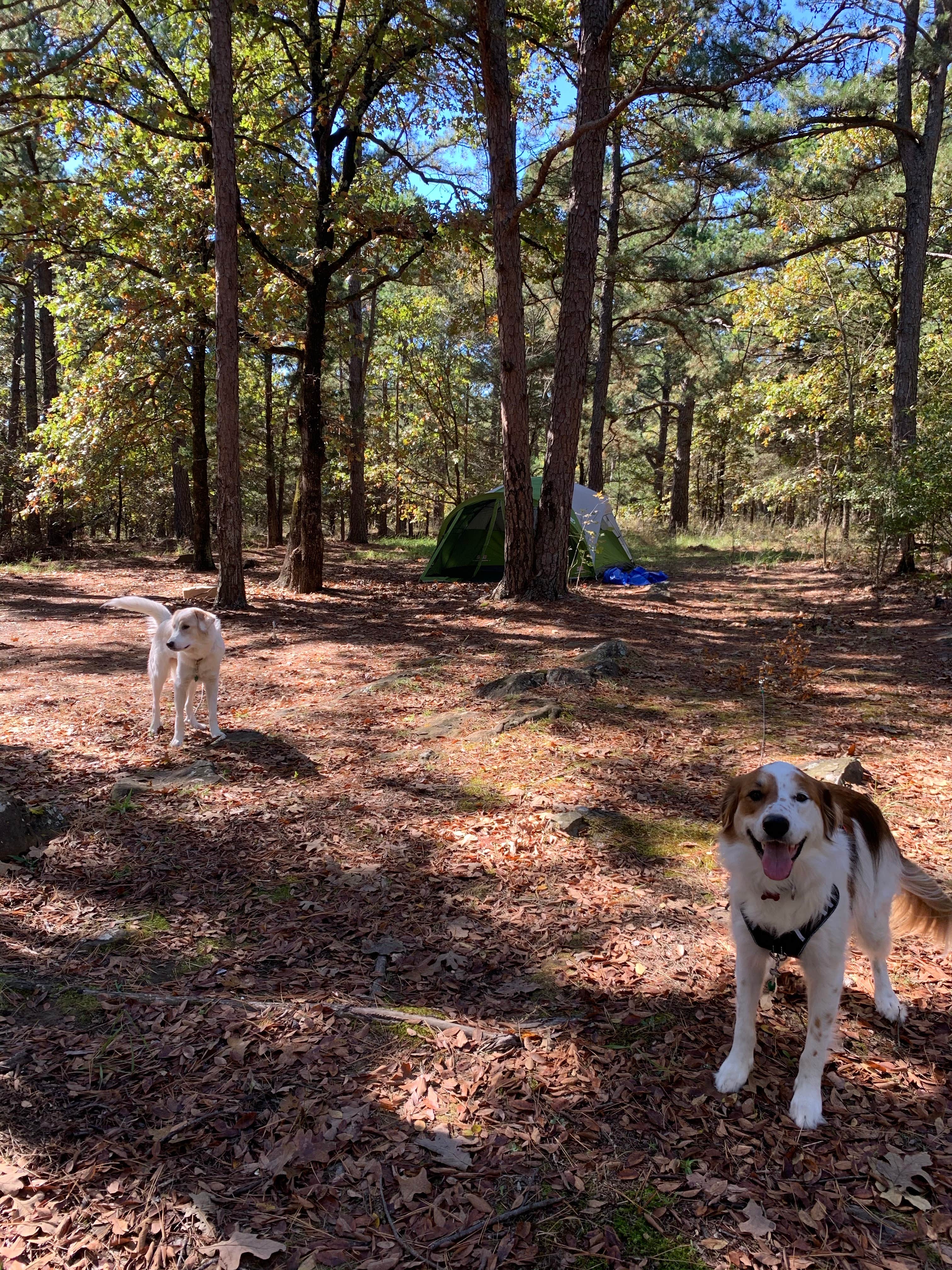 Nikki F.'s photo at McGee Creek State Park Campground near Daisy, OK
