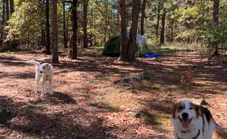 Nikki F.'s photo at McGee Creek State Park Campground near Atoka, OK