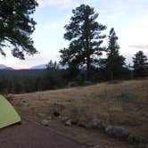 Review photo of Moraine Park Campground — Rocky Mountain National Park by Sara A., November 2, 2020