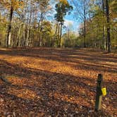 Review photo of Barren River Lake State Resort Park Campground by Daniel B., November 2, 2020