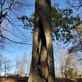 Review photo of Barren River Lake State Resort Park Campground by Daniel B., November 2, 2020