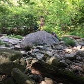 Review photo of Elkmont Campground — Great Smoky Mountains National Park by Alicia B., July 10, 2016