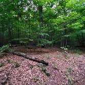 Review photo of Lafayette Place Campground — Franconia Notch State Park by Matt R., November 2, 2020