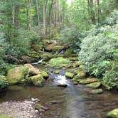 Review photo of Elkmont Campground — Great Smoky Mountains National Park by Alicia B., July 10, 2016