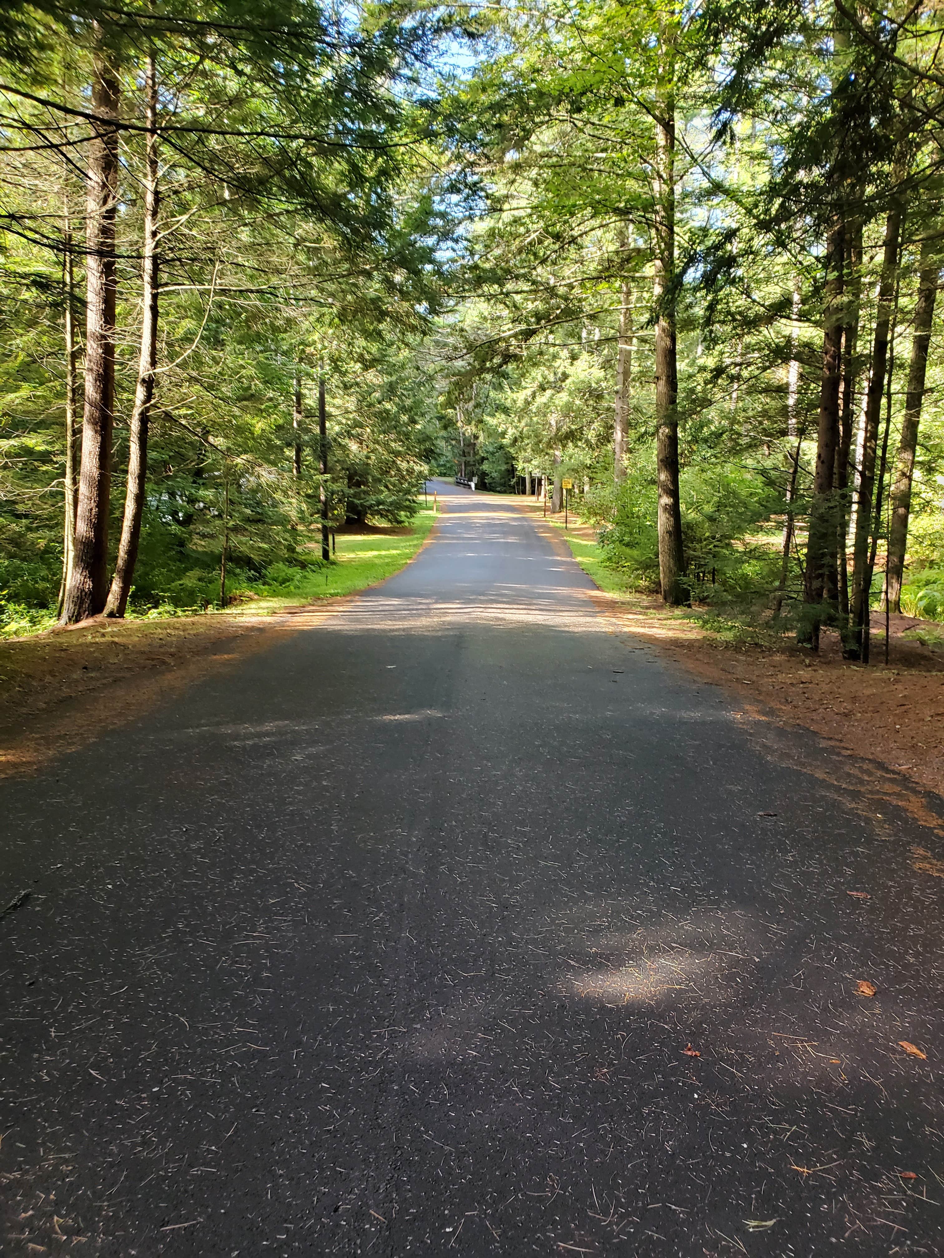 Camper submitted image from Otter River State Forest - 3