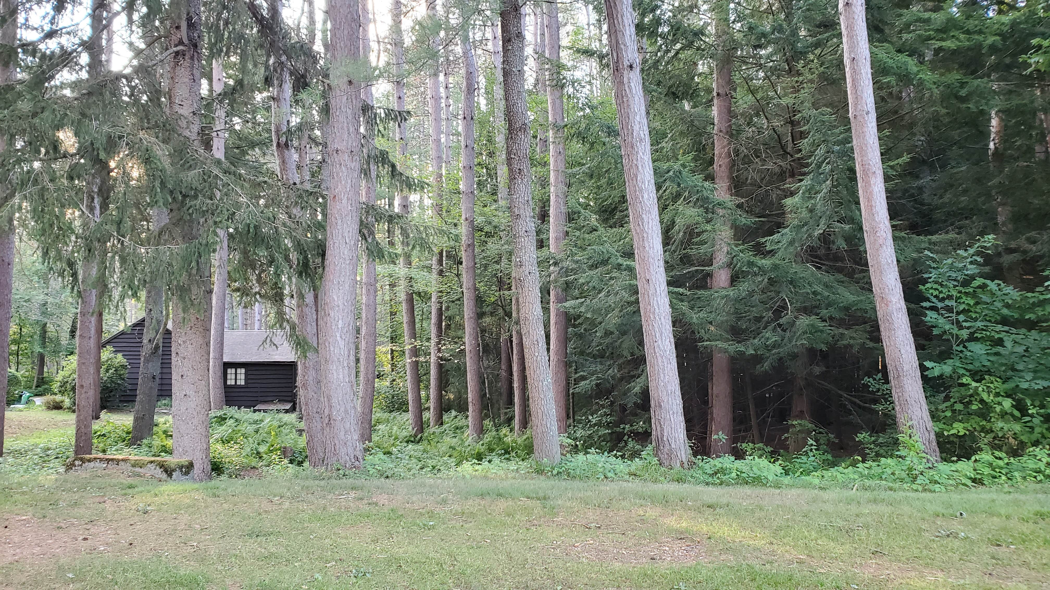 Matt R.'s photo of a cabin at Otter River State Forest near Whately, MA