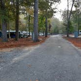 Review photo of Buck's Pocket State Park Campground by Tony C., November 2, 2020