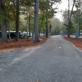 Review photo of Buck's Pocket State Park Campground by Tony C., November 2, 2020