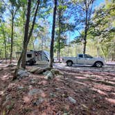 Review photo of Buck's Pocket State Park Campground by Tony C., November 2, 2020