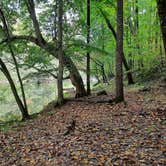 Review photo of Buck's Pocket State Park Campground by Tony C., November 2, 2020