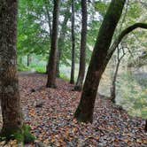 Review photo of Buck's Pocket State Park Campground by Tony C., November 2, 2020