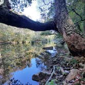 Review photo of Buck's Pocket State Park Campground by Tony C., November 2, 2020