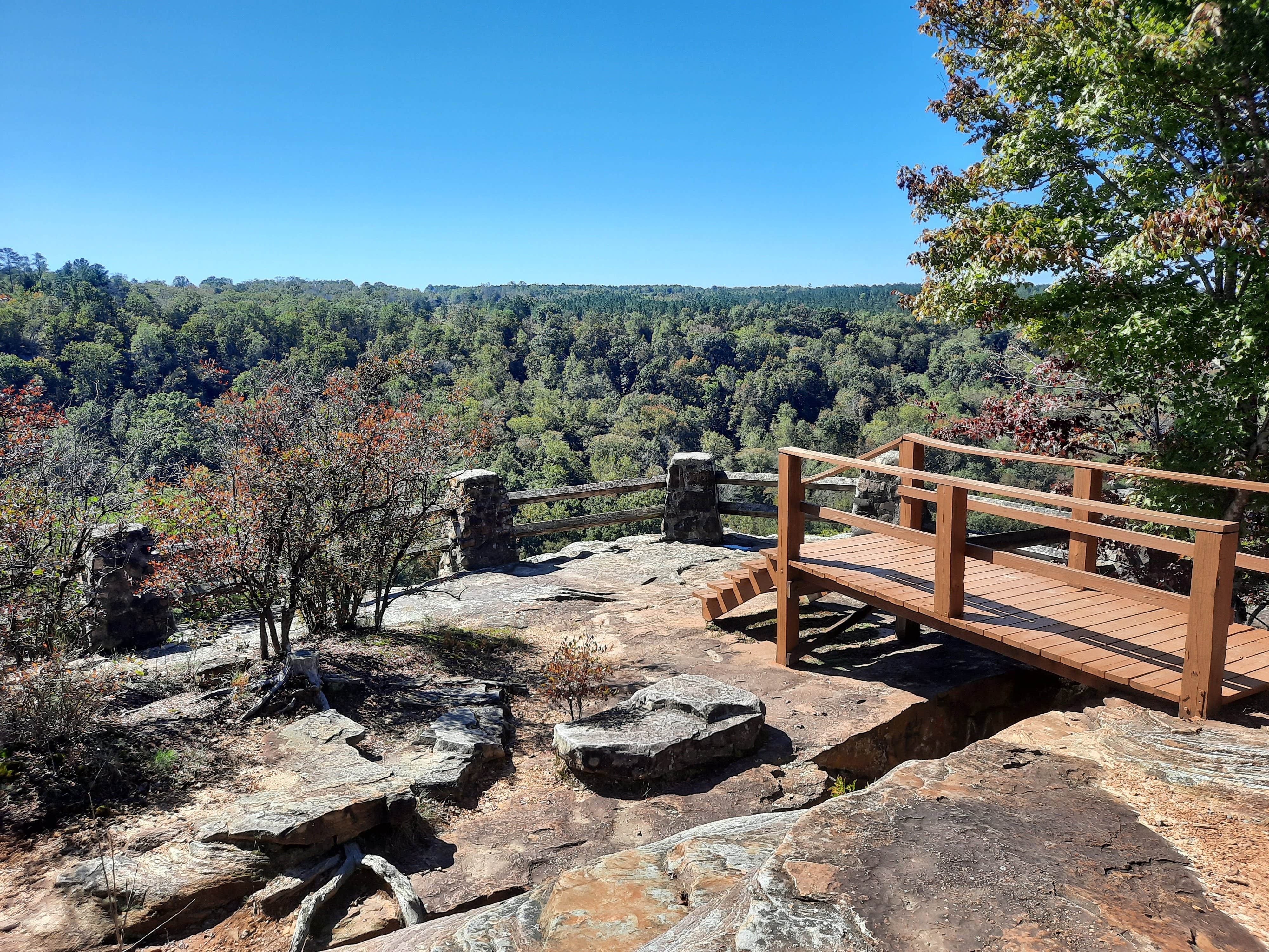 Camper submitted image from Buck's Pocket State Park Campground - 1