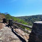 Review photo of Buck's Pocket State Park Campground by Tony C., November 2, 2020