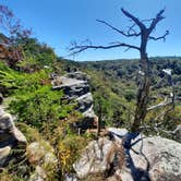 Review photo of Buck's Pocket State Park Campground by Tony C., November 2, 2020