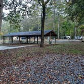 Review photo of Buck's Pocket State Park Campground by Tony C., November 2, 2020