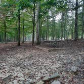 Review photo of Buck's Pocket State Park Campground by Tony C., November 2, 2020