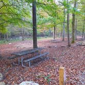 Review photo of Buck's Pocket State Park Campground by Tony C., November 2, 2020