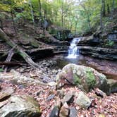 Review photo of Buck's Pocket State Park Campground by Tony C., November 2, 2020