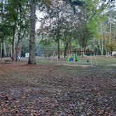 Review photo of Buck's Pocket State Park Campground by Tony C., November 2, 2020