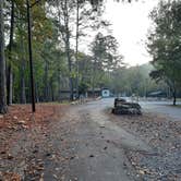 Review photo of Buck's Pocket State Park Campground by Tony C., November 2, 2020