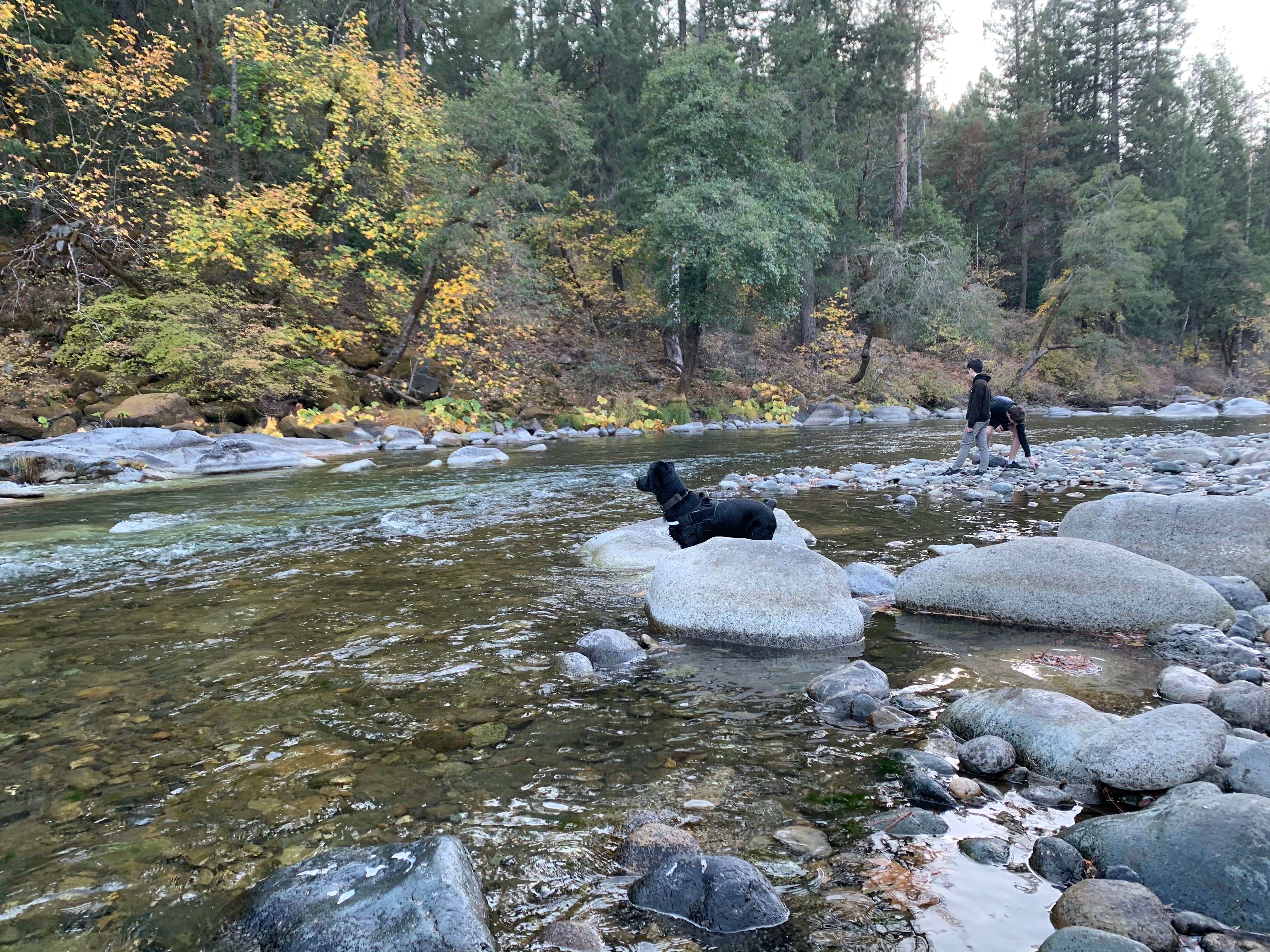 Camper-submitted photo at Cal-Ida near Goodyears Bar, CA