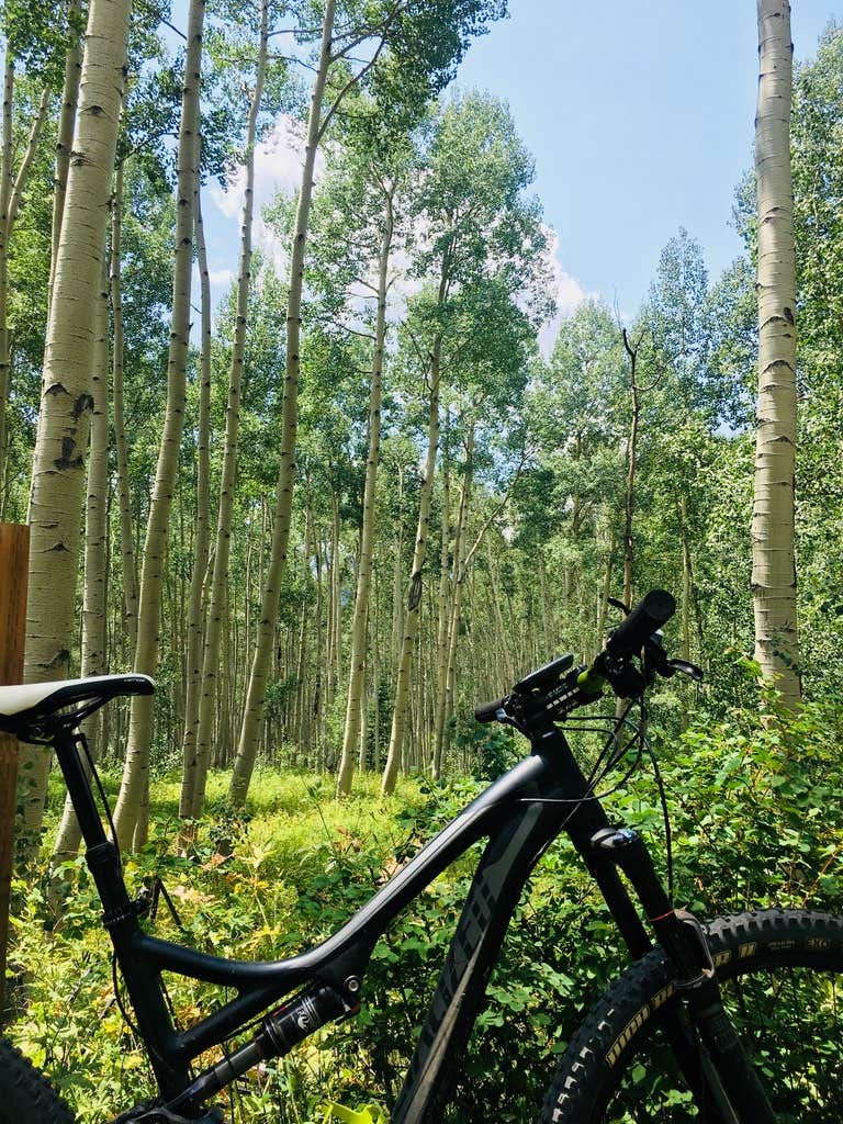 Brush Creek Dispersed - PERMANENTLY CLOSED