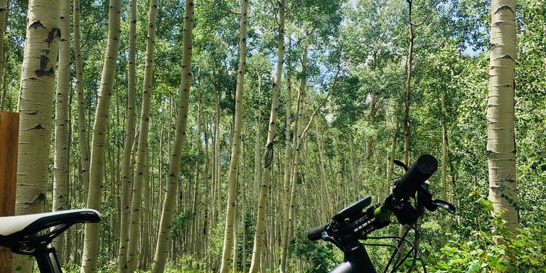 Camper submitted image from Brush Creek Dispersed - PERMANENTLY CLOSED