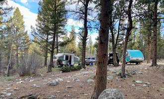 Camping near Mount Princeton: Browns Creek, Nathrop, Colorado