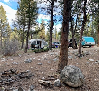 Camper-submitted photo from Browns Creek
