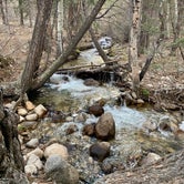 Review photo of Browns Creek by Morgan Y., November 2, 2020